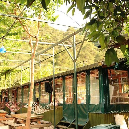 Olympos Zeytin Bed & Breakfast ภายนอก รูปภาพ