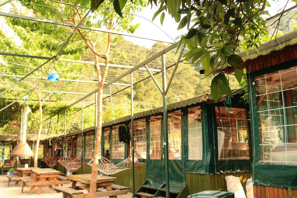 Olympos Zeytin Bed & Breakfast ภายนอก รูปภาพ