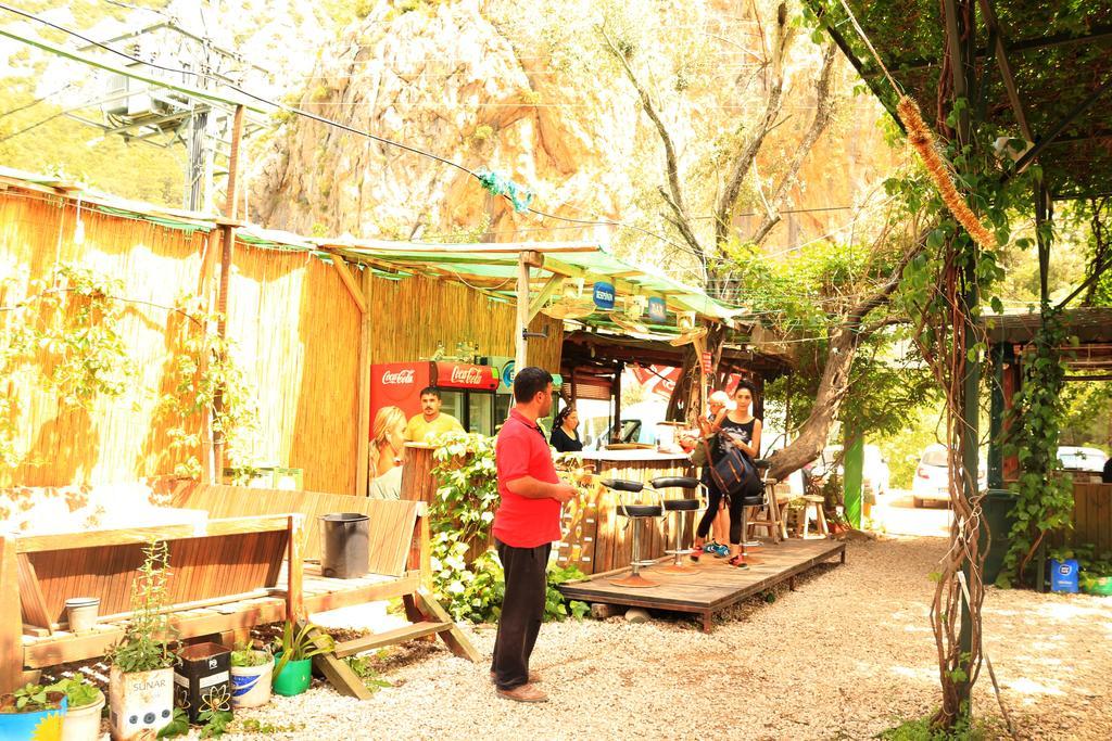 Olympos Zeytin Bed & Breakfast ภายนอก รูปภาพ