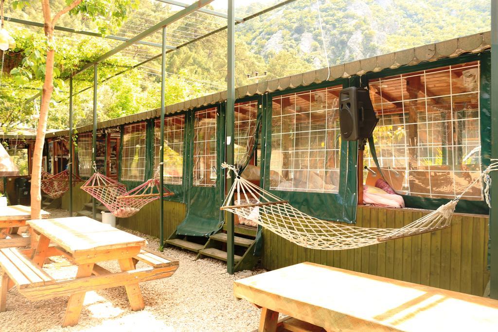 Olympos Zeytin Bed & Breakfast ภายนอก รูปภาพ